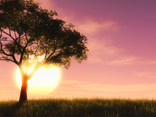 arbre-3d-contre-ciel-coucher-soleil_1048-9754